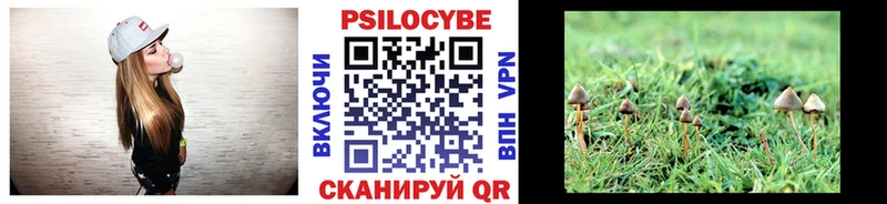 Галлюциногенные грибы мицелий  как найти   Ишимбай 